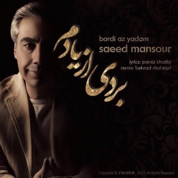 دانلود آهنگ جدید سعید منصور با عنوان بردی از یادم